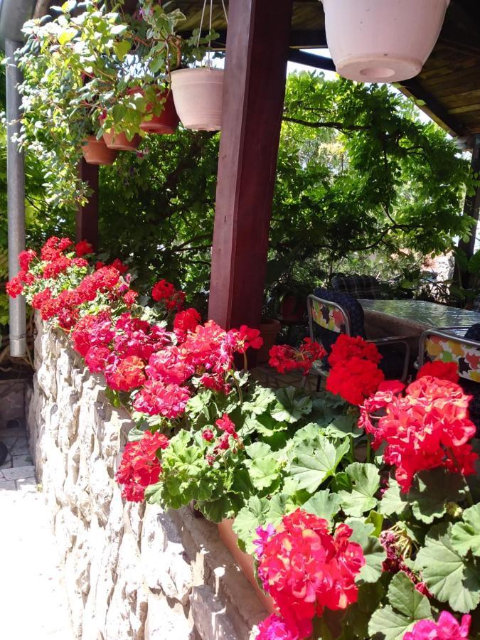 דראמליי Guest House Djurdjica מראה חיצוני תמונה