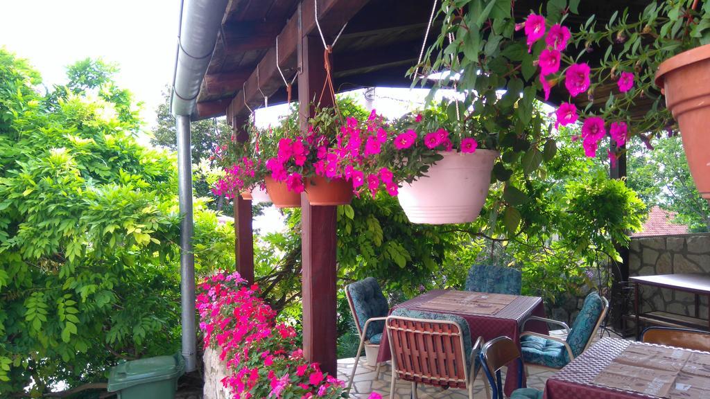 דראמליי Guest House Djurdjica מראה חיצוני תמונה