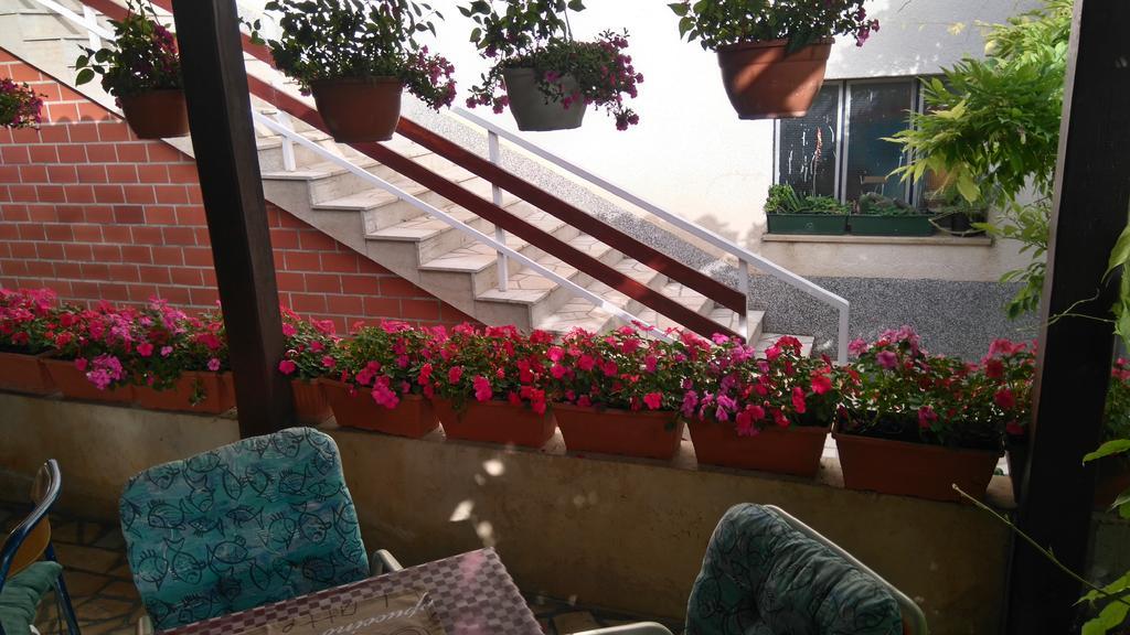 דראמליי Guest House Djurdjica מראה חיצוני תמונה