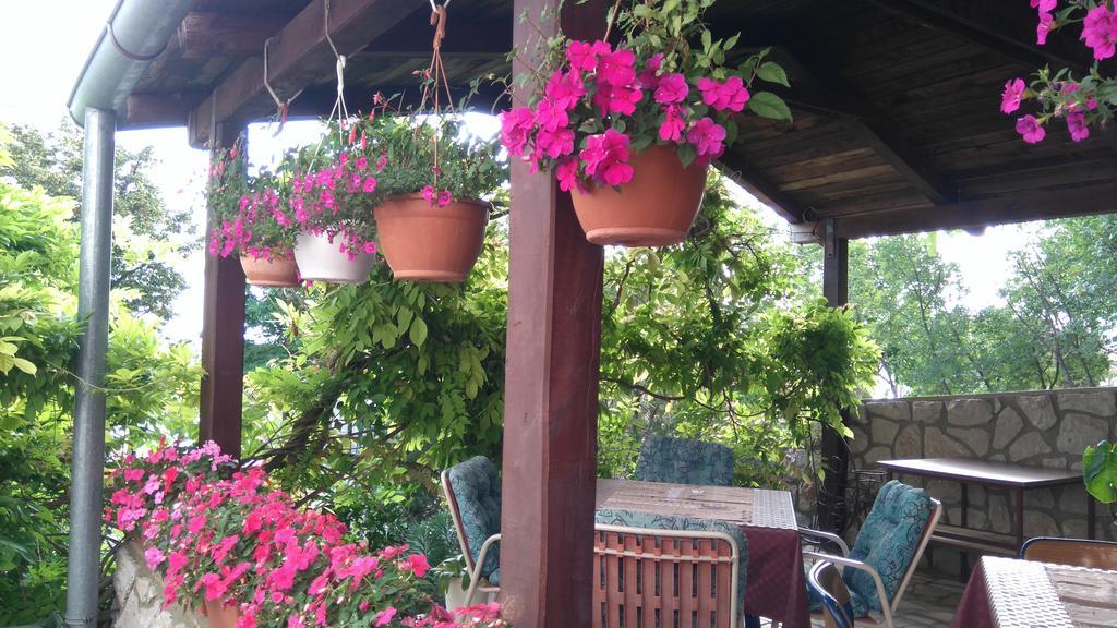 דראמליי Guest House Djurdjica מראה חיצוני תמונה