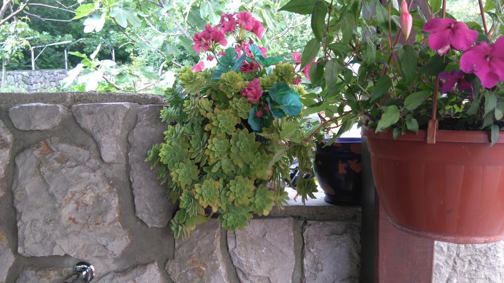 דראמליי Guest House Djurdjica מראה חיצוני תמונה